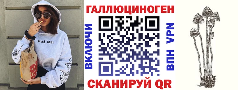 наркотики  Тихорецк  Галлюциногенные грибы Psilocybine cubensis 