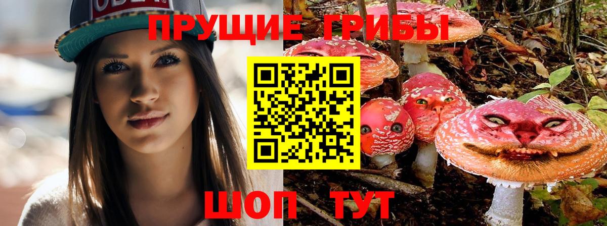 Тихорецк  Галлюциногенные грибы ЛСД  Псилоцибиновые грибы прущие грибы  Вход с VPN 