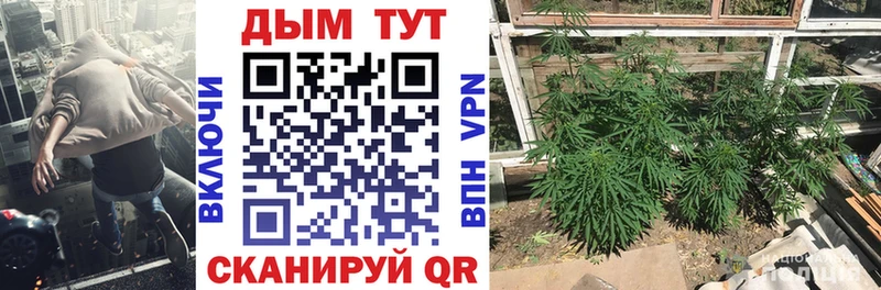 купить  цена  Тихорецк  МАРИХУАНА план 